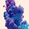 user
      avatar