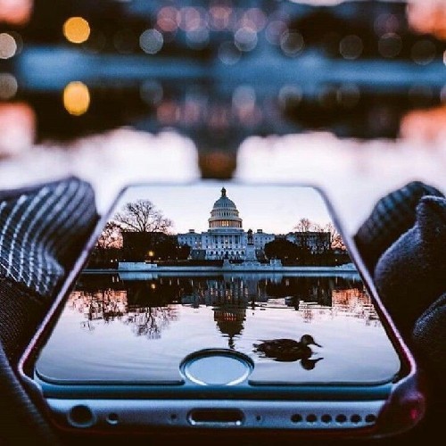 user
      avatar