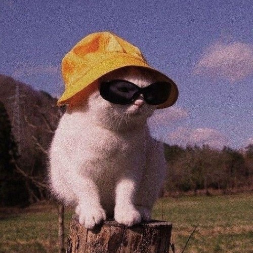 user
      avatar
