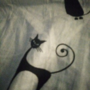 user
      avatar