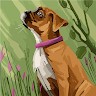 user
      avatar