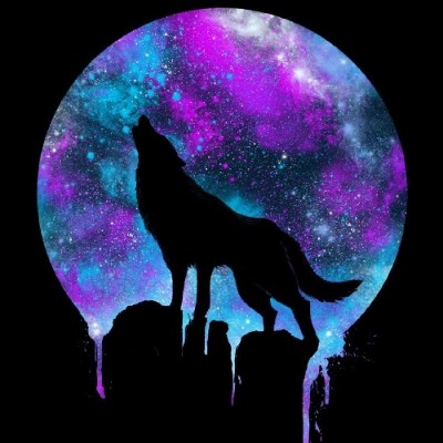user
      avatar