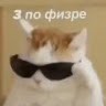 user
      avatar