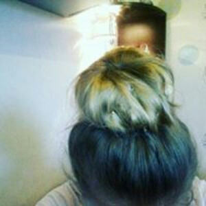 user
      avatar