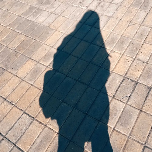 user
      avatar