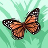 user
      avatar
