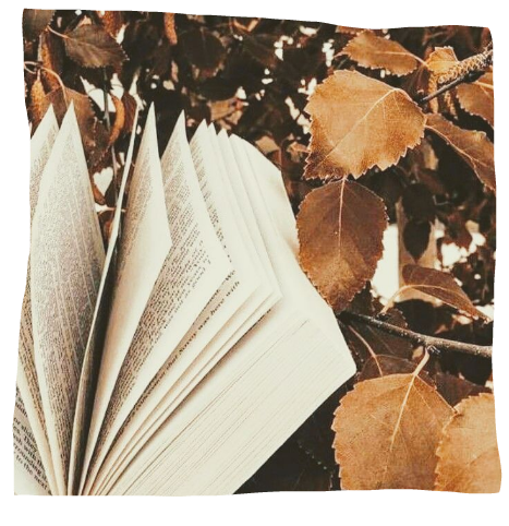 combyne outift